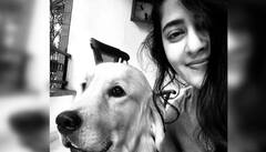 ஆண்டிரியாவின் ’ஜான் ஸ்னோ’...அனுஷ்காவின் ’டூட்’... நடிகர்களின் செல்ல நாய்கள் : புகைப்படங்கள்