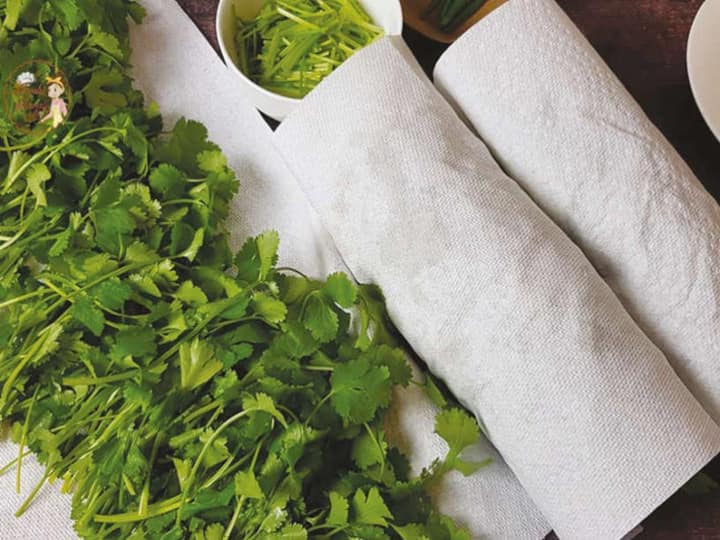 Kitchen Hacks How To Keep Coriander Leaves For Long Time Store Green Coriander Fresh | गर्मी में 15 दिनों तक फ्रेश रहेगा धनिया, इस ट्रिक से स्टोर करें हरा धनिया