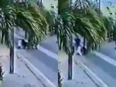 Pakistan: Owner Agrees To Euthanize Two Dogs After They Attack Lawyer In Upscale Neighbourhood