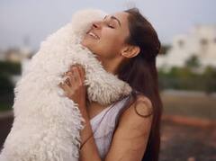 ஆண்டிரியாவின் ’ஜான் ஸ்னோ’...அனுஷ்காவின் ’டூட்’... நடிகர்களின் செல்ல நாய்கள் : புகைப்படங்கள்