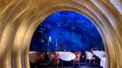 અસ્મિતા વિશેષઃ પાણીની દુનિયા