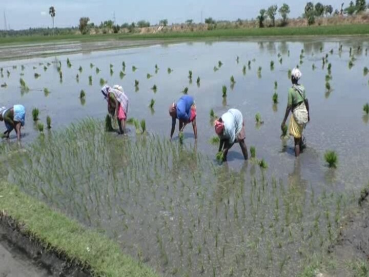 அப்போ காய்ஞ்சு கிடந்த பூமி.. இப்போ விளைஞ்சு தள்ளுது..' ஊரையே மாற்றிய தடுப்பணை!