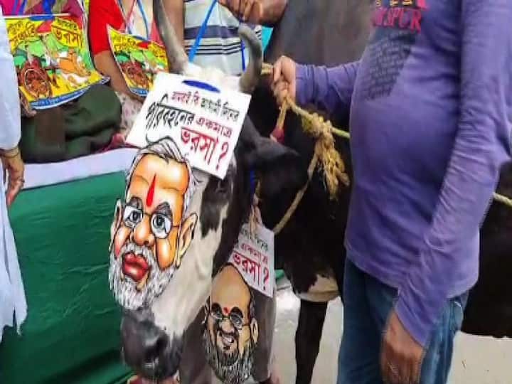 পেট্রোপণ্যের মূল্যবৃদ্ধির বিরোধিতায় চুঁচুড়ায় ঘড়ির মোড়ে তৃণমূলের প্রতিবাদ। বিকেল ৪টে পর্যন্ত চলবে অবস্থান বিক্ষোভ।