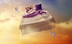 સ્વપ્નશાસ્ત્ર: સપનામાં જો દેખાય આ 5  વસ્તુઓ તો  આપે છે ભવિષ્યમાં બનનાર ઘટનાના સંકેત