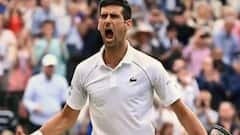 Wimbledon: Djokovic to face Berrettini in final