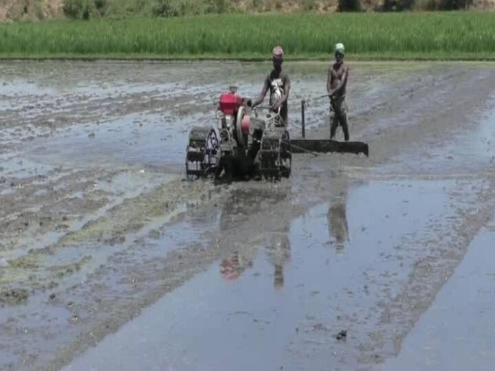 அப்போ காய்ஞ்சு கிடந்த பூமி.. இப்போ விளைஞ்சு தள்ளுது..' ஊரையே மாற்றிய தடுப்பணை!