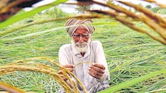 ਹੁਣ ਸੂਬੇ 'ਚ ਉੱਠੀ ਗਰੀਬ ਜੱਟਾਂ ਤੇ ਮਜ਼ਦੂਰਾਂ ਨੂੰ ਰਾਖਵਾਂਕਰਨ ਦੇਣ ਦੀ ਮੰਗ