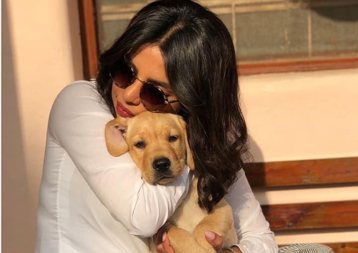 பிரியங்காவின் காக்கர் ஸ்பேனியல் டயானா