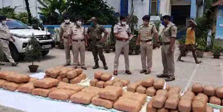 North Dinajpur Raigunj Police seizes huge 308 kg cannabis worth over 40 lakhs tea-laden truck Drugs Seized: চা-বোঝাই লরি থেকে উদ্ধার ৪০ লক্ষ টাকা মূল্যের ৩০৮ কেজি গাঁজা