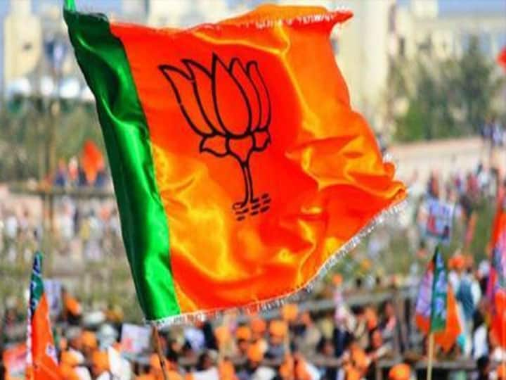 Bhavnagar : BJP suspend two leaders of Bhavnagar after audio clip viral Bhavnagar : ભાજપની બે મહિલા આગેવાને પતિ-પત્ની વચ્ચે સમાધાન કરાવવા માંગ્યા કેટલા લાખ રૂપિયા? ઓડિયો વાયરલ