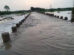 ત્રણ સપ્તાહ બાદ રાજ્યમાં મોનસૂન ફરી સક્રિય, આગામી ત્રણ દિવસ કેટલાક વિસ્તારોમાં ભારે વરસાદની આગાહી