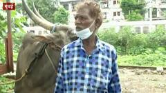 मुंबईत महागाई विरोधात काँग्रेसचं आंदोलन सुरू असताना बैलगाडी मोडल्याने फजिती, भाजपकडून खोचक टीका