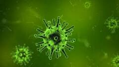 Covid India Update: দেশে দৈনিক মৃত্যু ফের হাজার পার, সামান্য কমল সংক্রমণ