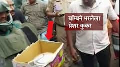 प्रेशर कुकर बॉम्ब, स्फोटकांचा साठा जप्त, लखनऊमध्ये संशयित दहशतवादी अलकायदा संघटनेशी संबंधित