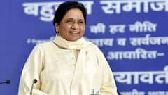 Why govt is not serious about fuel & milk price hike, asks Mayawati