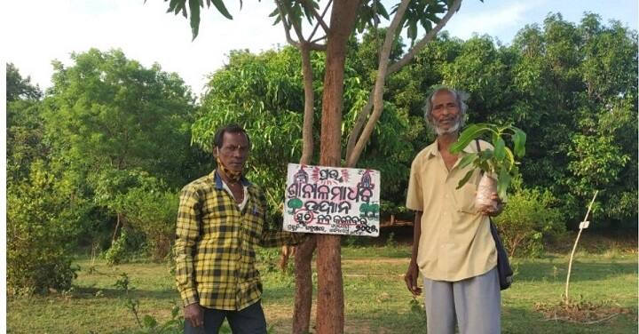 Know about Odisha’s Incredible 75-Year-Old Tree Teacher Odisha Tree Teacher: ஒரு மனிதன் 30000 மரங்கள் : 11 வயதுச் சிறுவனின் கனவு நனவான கதை!