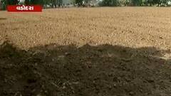 મારુ ગામ, મારી વાતઃ વરસાદ ખેંચાતા વડોદરાના ખેડૂતો પરેશાન, જુઓ વીડિયો