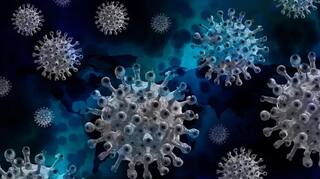 Coronavirus:  આ જાણીતા દેશમાં એક મહિલામાં કોરોનાના બે વેરિયંટ જોવા મળતાં આશ્ચર્ય, 5 જ દિવસમાં.....