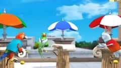 তিন পাখির তরজা: রাজ্য রাজনীতি নিয়ে তরজায় টিয়া-কাকাতুয়া-গোমড়া