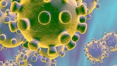 पिछले 24 घंटे में कोरोना से 895 लोगों की हुई मौत