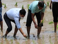 गडचिरोलीच्या जिल्हाधिकाऱ्यांची चिखलात उतरून भात रोवणी; आधुनिक पद्धतीने भात लागवड करण्याचे आवाहन