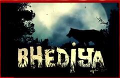 'ਭੇਡੀਆ' ਫਿਲਮ ਦੀ ਸ਼ੂਟਿੰਗ ਹੋਈ Complete