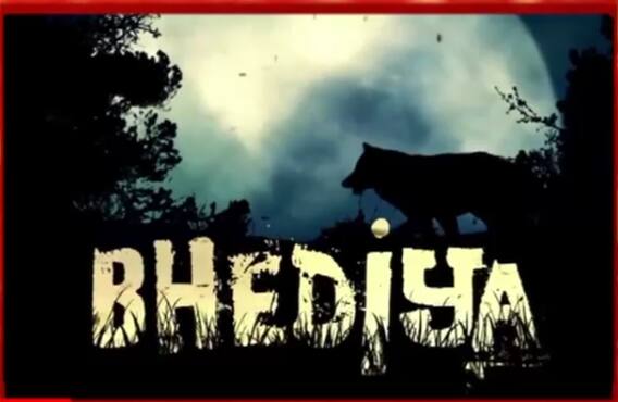 'ਭੇਡੀਆ' ਫਿਲਮ ਦੀ ਸ਼ੂਟਿੰਗ ਹੋਈ Complete