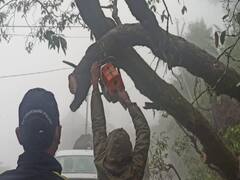 मसूरी में पेड़ गिरने से मार्ग हुआ बाधित, अधिकारियों ने लोगों को दिए सतर्क रहने के निर्देश