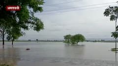 Amravati Rain : अमरावतीला मुसळधार पावसाने झोडपलं, अनेक शिवारात आणि घरात पाणी शिरलं