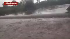 ગીર સોમનાથ જિલ્લાના કેટલાક વિસ્તારમાં ધોધમાર વરસાદ, જુઓ વીડિયો