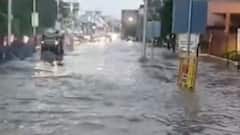 દાહોદ જિલ્લાના અનેક વિસ્તારોમાં વરસાદ, ખેડૂતોમાં જોવા મળી ખુશી