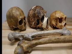 'மனித உடலின் அளவை மாற்றும் காலநிலை மாற்றம்' - புதிய ஆய்வு கூறுவது என்ன?