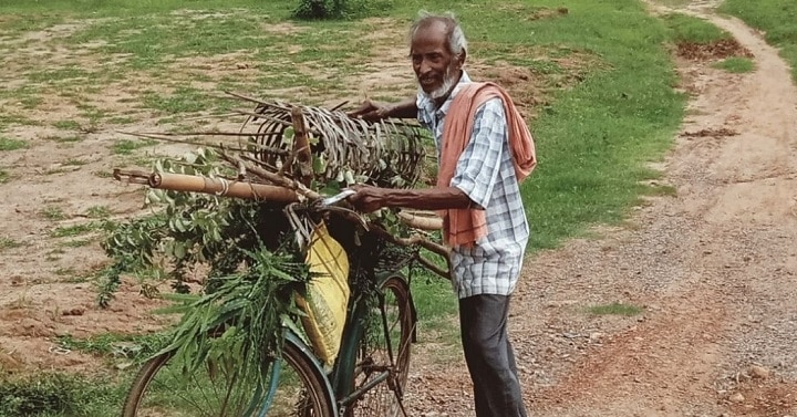 Odisha Tree Teacher: ஒரு மனிதன் 30000 மரங்கள் : 11 வயதுச் சிறுவனின் கனவு நனவான கதை!