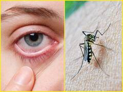 Zika Virus: कोरोना के बीच अब मंडरा रहा है जीका वायरस का खतरा, दिल्ली-मुंबई समेत कई शहर अलर्ट पर