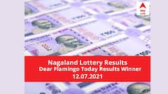 LIVE Nagaland State lottery Dear Flamingo Result Today: Get to know the Lottery Winners Full List Prize Details