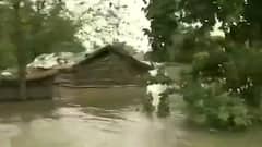 Bihar suffers flood damage, govt ignores