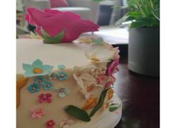 Anushka Sharma Virat kohli Vamika | ஆனந்த யாழை மீட்டுகிறாய் அடி நெஞ்சில் வண்ணம் தீட்டுகிறாய் : விராட்-அனுஷ்கா-வாமிகா ஃபோட்டோஸ்..!