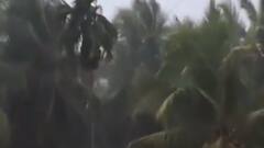 ફટાફટ:વરસાદને પગલે દક્ષિણ ગુજરાતમાં NDRF તૈનાત, પાટણમાં વીજળી ત્રાટક્તા વીજ ઉપકરણો બળ્યા