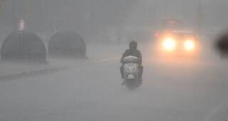 હવામાન વિભાગની આગાહી વચ્ચે સૌરાષ્ટ્ર અને કચ્છમાં વરસાદી માહોલ 