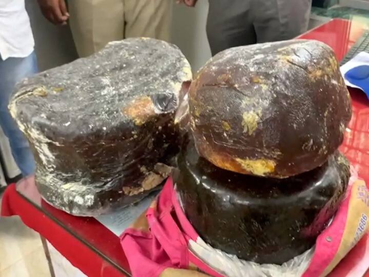 26 crore whale vomit seized, five arrested in Thane 26 कोटीची व्हेल माशाची उलटी केली हस्तगत , पाच जणांना अटक;  वन विभागाची मोठी कारवाई