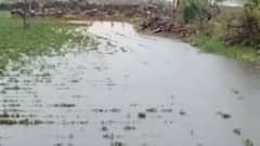 આપણી ખબર: કોવિડ ગાઈડ લાઇન સાથે ભગવાન જગનનાથજીની રથયાત્રા, નગરજનો વિના નાથની નગરચર્યા