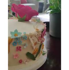 Vamika 6 Months: 6 ਮਹੀਨੇ ਦੀ ਹੋਣ 'ਤੇ ਅਨੁਸ਼ਕਾ ਨੇ ਸ਼ੇਅਰ ਕੀਤੀਆਂ ਬੇਟੀ ਵਾਮਿਕਾ ਨਾਲ ਤਸਵੀਰਾਂ, ਵਿਰਾਟ ਕੋਹਲੀ ਦੀ ਗੋਦ 'ਚ ਮਸਤੀ ਕਰਦੀ ਦਿਖੀ