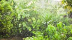 नांदेडमध्ये पावसाचा कहर, परभणीत पाच तास मुसळधार, रस्ते जलमय, यवतमाळमध्ये अतिवृष्टी, पिकांचं नुकसान