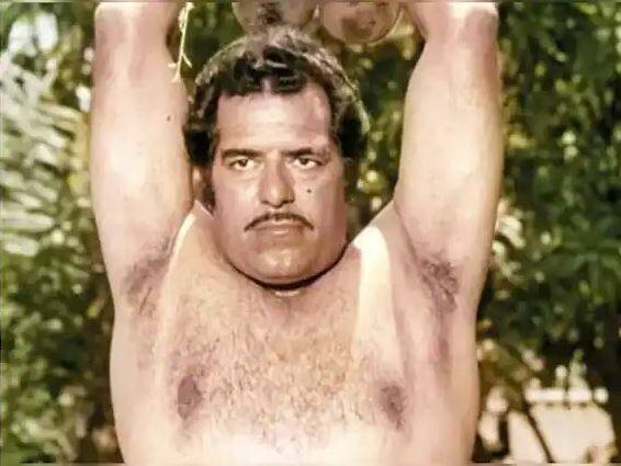 ਉਨ੍ਹਾਂ ਨੇ ਕਈ ਹਿੰਦੀ ਅਤੇ ਪੰਜਾਬੀ ਫਿਲਮਾਂ ਵਿੱਚ ਕੰਮ ਕੀਤਾ। ਉਨ੍ਹਾਂ ਨੇ ਟੀਵੀ ਸ਼ੋਅ ਵਿੱਚ ਵੀ ਕੰਮ ਕੀਤਾ।