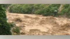 Flash Flood: মেঘ ভাঙা বৃষ্টিতে হঠাৎ বিপর্যয়! ধরমশালায় জলের তোড়ে ভেসে গেল বহু গাড়ি