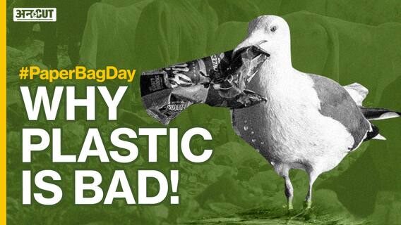 #PaperBagDay: प्लास्टिक पॉल्यूशन कैसे हमारी धरती को कर रहा है बर्बाद | Uncut