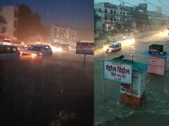 Maharashtra Rain Update : वरुणराजा बरसला, शेतकरी सुखावला... राज्यातील बहुतांश भागात पावसाची हजेरी