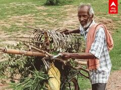 Antaryami sahoo : ஒரு மனிதன் உருவாக்கிய காடு - Teacher அந்தர்யாமியின் கதை!