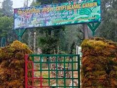 उत्तराखंड में खुला भारत का पहला क्रिप्टोगेमिक गार्डन, पढ़ें अनोखी विशेषता वाले इस गार्डन के बारे में