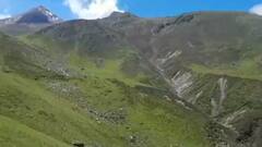 Uttarakhand: कुदरती सौंदर्य का खजाना है चेनाप घाटी, खिले 300 प्रजाति के फूल